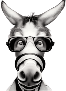 TIBA CREATIVE - Online Marketing -Donkey Nerd